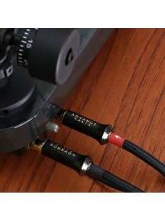Advance Acoustic LINK RCA