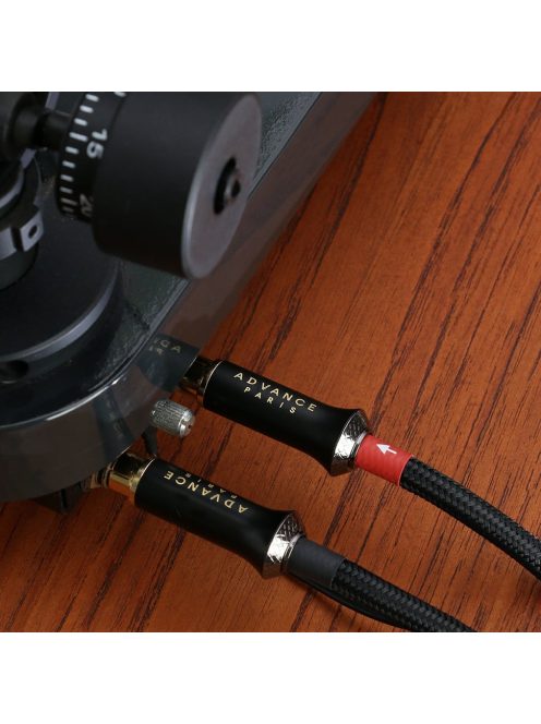 Advance Acoustic LINK RCA