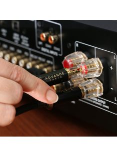Advance Acoustic LINK Speaker