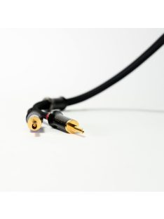 Advance Acoustic LINK Speaker