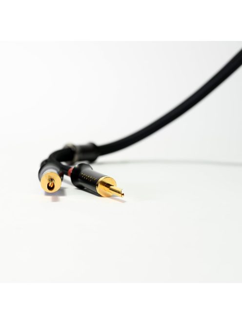 Advance Acoustic LINK Speaker