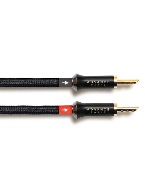 Advance Acoustic LINK Speaker