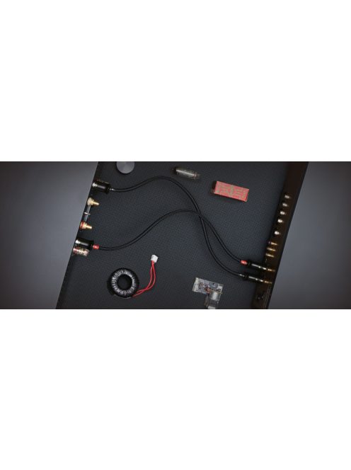 Advance Acoustic LINK XLR