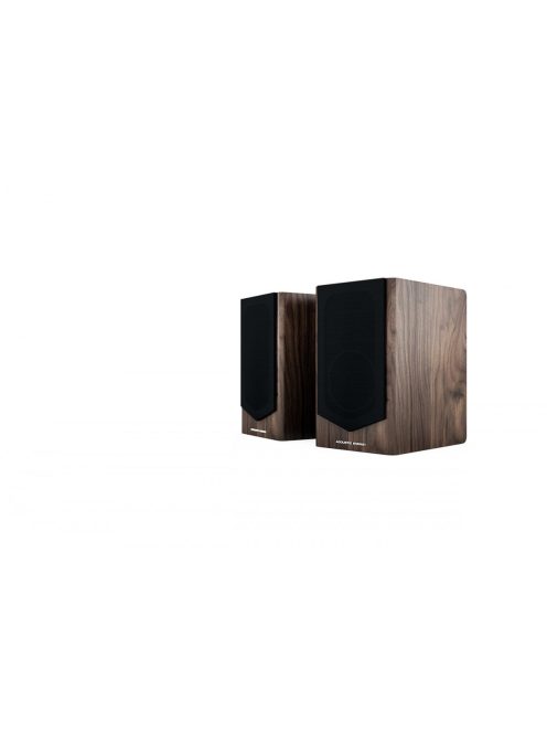 Acoustic Energy AE500