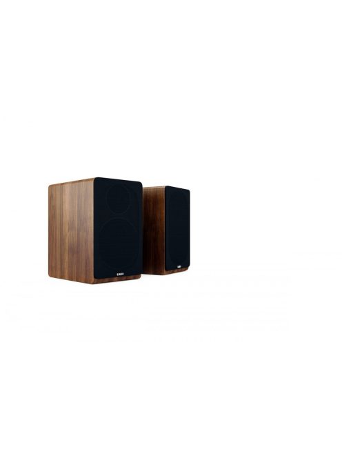 Acoustic Energy AE300