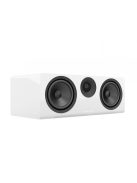 Acoustic Energy AE307