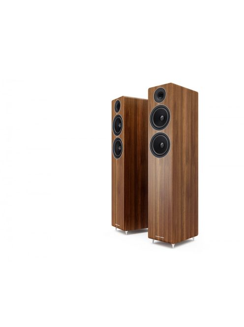Acoustic Energy AE309