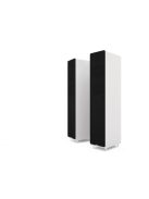 Acoustic Energy AE309
