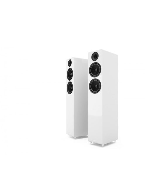 Acoustic Energy AE309