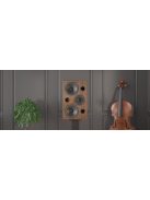 Acoustic Energy AE2 40th Anniversary Edition