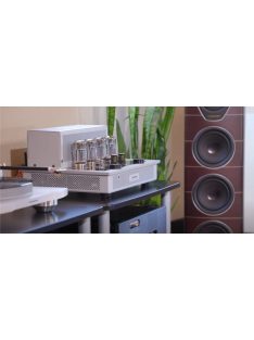 Audio Research i/50 + Sonus Faber Olympica Nova V