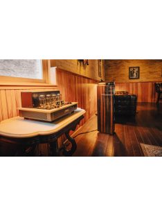 Audio Research i/55