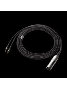 Audio-Technica ATH-AWKG (KUROGAKI)