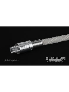 Audio Engineers Singular Performance Silver Series Power