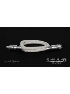 Audio Engineers Singular Source Silver Series Power