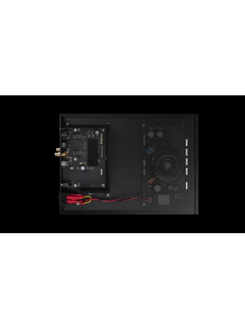 Auralic Aries S1