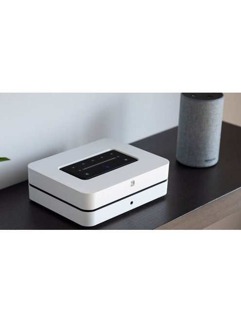 Bluesound PowerNode