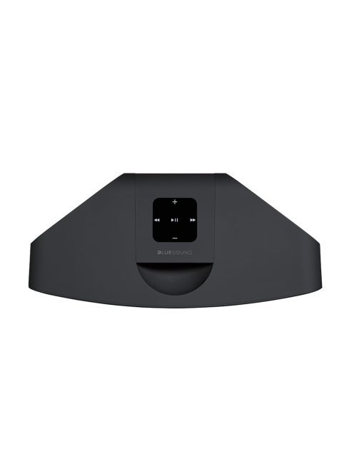 Bluesound Pulse Mini 2i