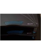 Bassocontinuo Lyra 2.1 McIntosh Edition
