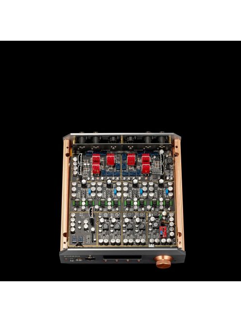 Burson Audio Soloist Voyager