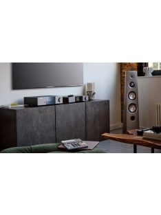 Cambridge Audio EXN 100