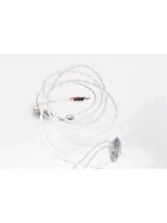 Crystal Cable Future Dream 22 Speaker