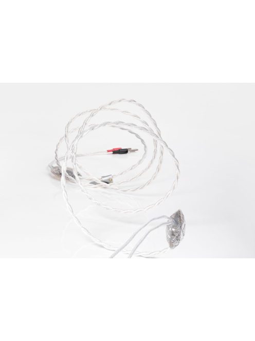 Crystal Cable Future Dream 22 Speaker