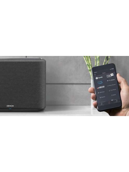 Denon 2x Home 250
