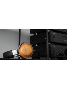 Denon AH-D9200
