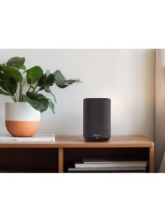 Denon Home 150 NV
