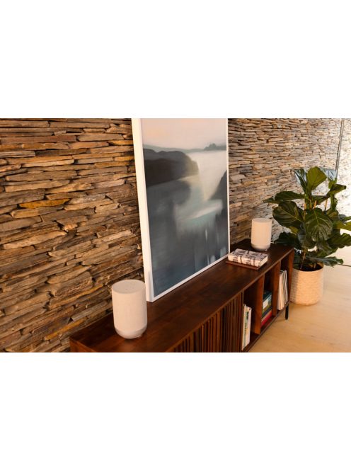 Denon Home 200