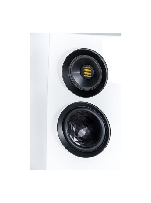 ELAC Concentro S 509