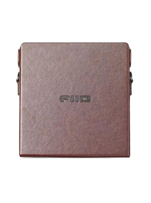 FiiO DM15 R2R