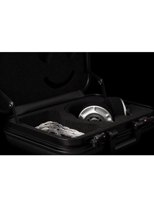 Final Audio D8000 DC Pro