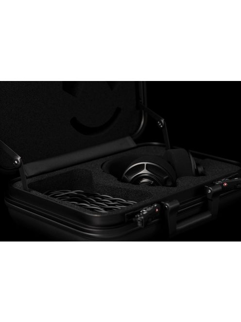 Final Audio D8000 DC