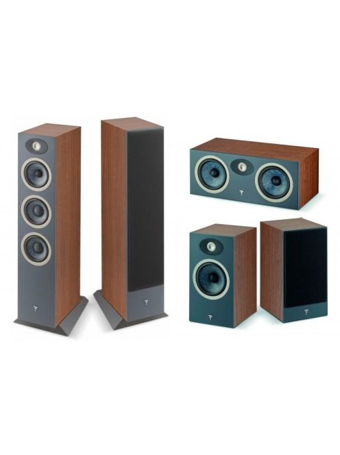 Focal THEVA N°2 5.0