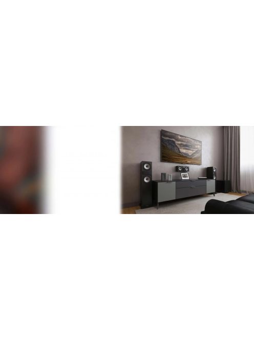 Fyne Audio F303i