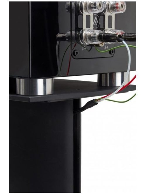 Fyne Audio FS6