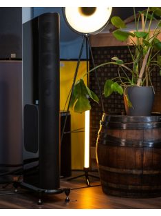 GoldenEar T66