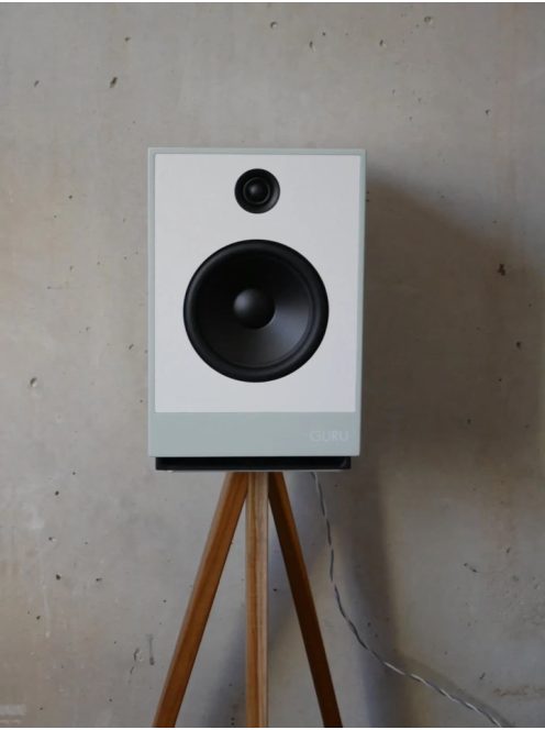 Guru Audio Guru 12