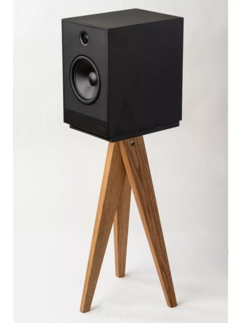 Guru Audio Guru 12