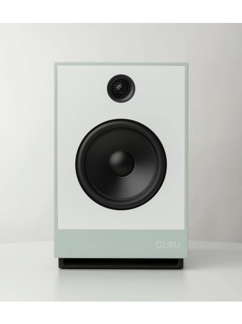 Guru Audio Guru 12