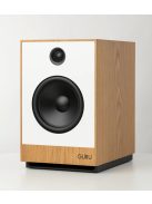 Guru Audio Guru 12