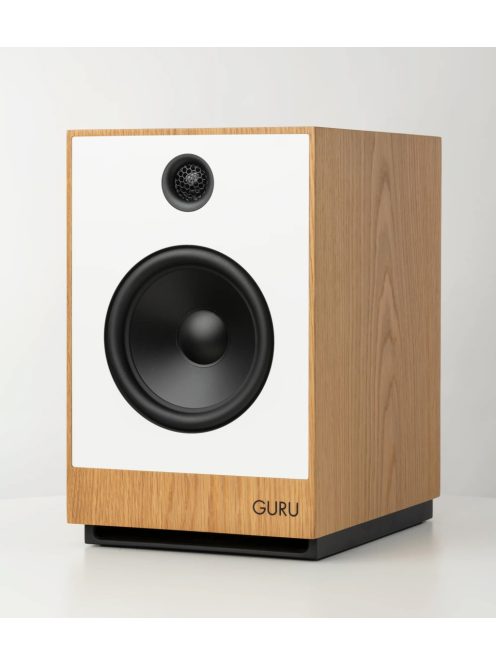 Guru Audio Guru 12