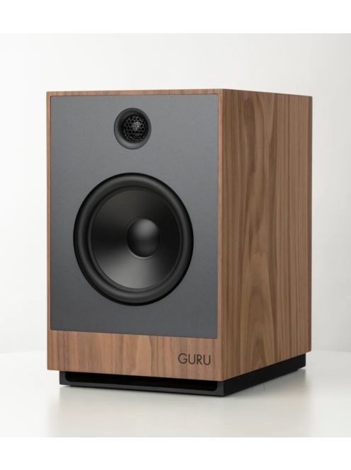 Guru Audio Guru 12
