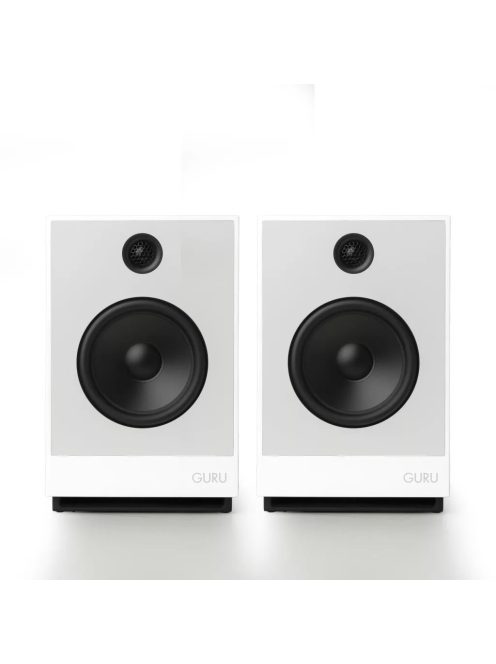 Guru Audio Guru 12