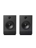 Guru Audio Guru 12