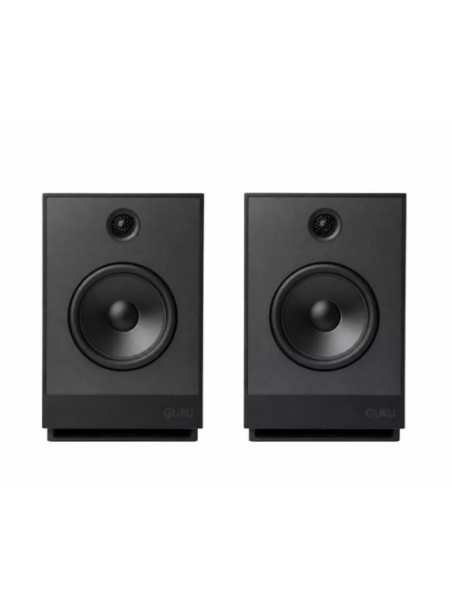 Guru Audio Guru 12