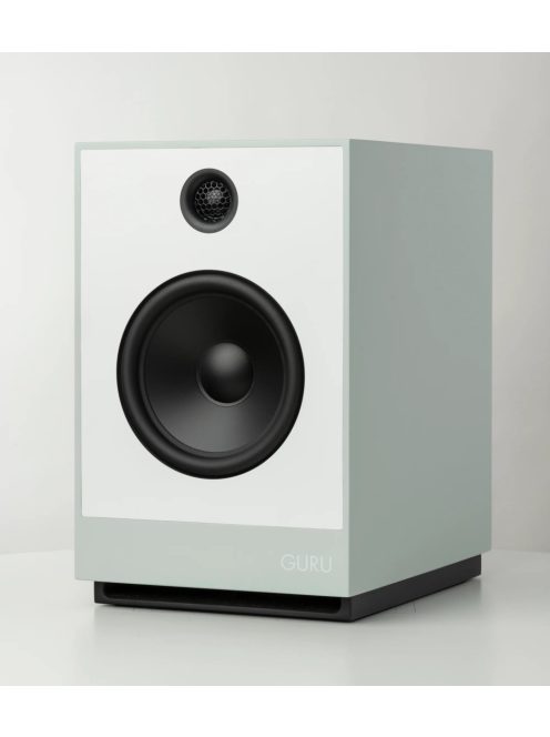 Guru Audio Guru 12