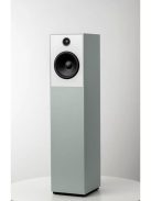 Guru Audio Guru 20